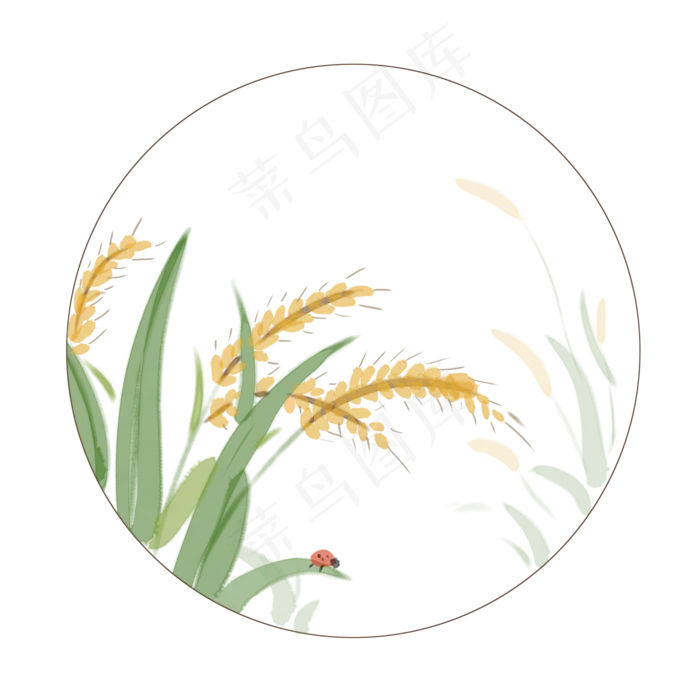 植物二十四节气芒种(2000X2000(DPI:300))psd模版下载