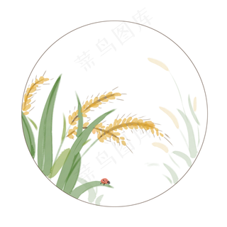 植物二十四节气芒种