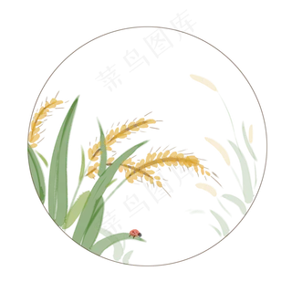 植物二十四节气芒种