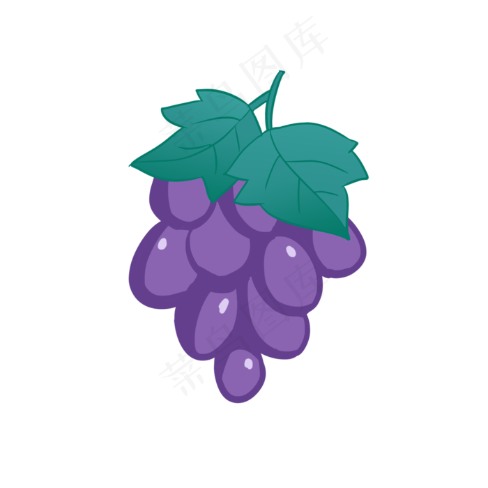 紫色高甜度大粒葡萄