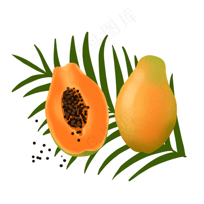 手绘卡通木瓜和芭蕉叶PNG免抠(2048X2048(DPI:300))psd模版下载