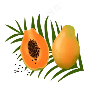 手绘卡通木瓜和芭蕉叶PNG免抠