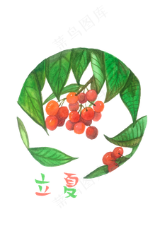 立夏红果樱桃水果果实甜蜜节气农 立夏红果樱桃水果果实甜蜜节气农