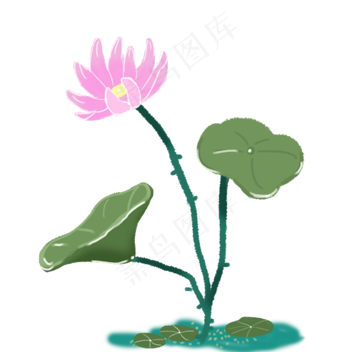 夏季荷花荷叶素材(2000X2000(DPI:300))psd模版下载