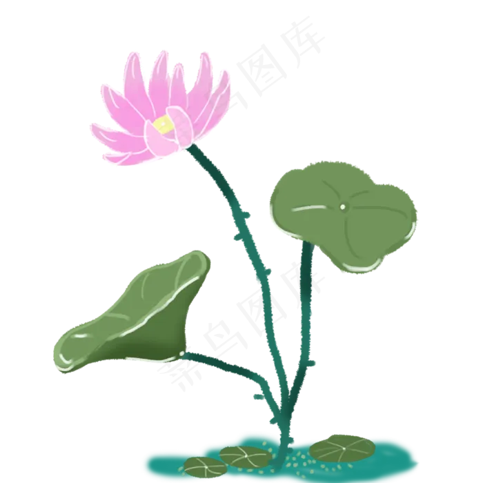 夏季荷花荷叶素材(2000X2000(DPI:300))psd模版下载