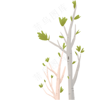 绿叶树枝,免抠元素