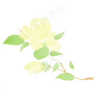 手绘小清新春天栀子花