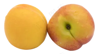 油桃黄桃
