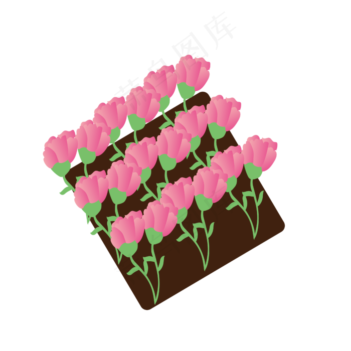 手绘花卉康乃馨矢量