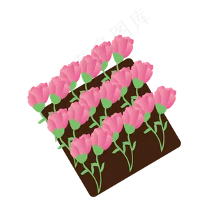 手绘花卉康乃馨矢量