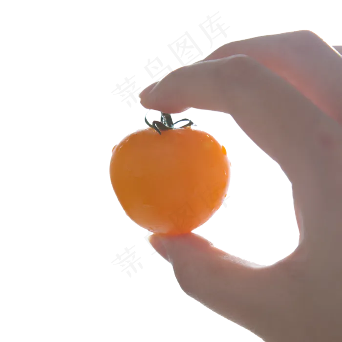 水果黄番茄高清图5(2993*2993px 300 dpi )