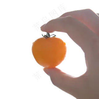 水果黄番茄高清图5