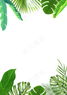热带绿叶边框 热带绿叶边框