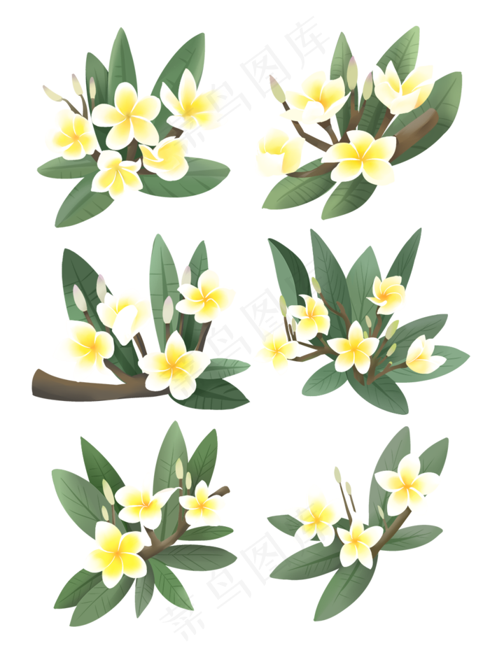 手绘鲜花装饰素材鸡蛋花蛋黄花