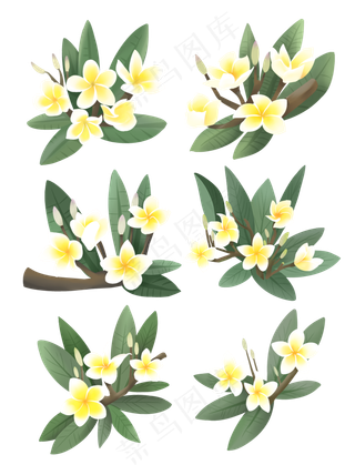 手绘鲜花装饰素材鸡蛋花蛋黄花