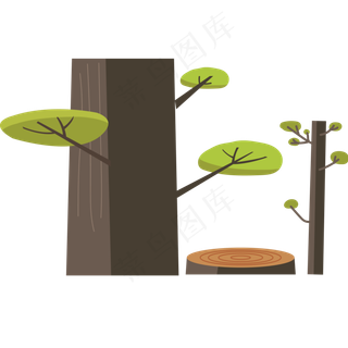 两个绿色的大树植物