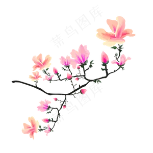 手绘装饰水彩玉兰花元素,免抠元素