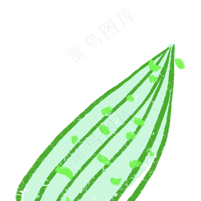 卡通植物叶子下载