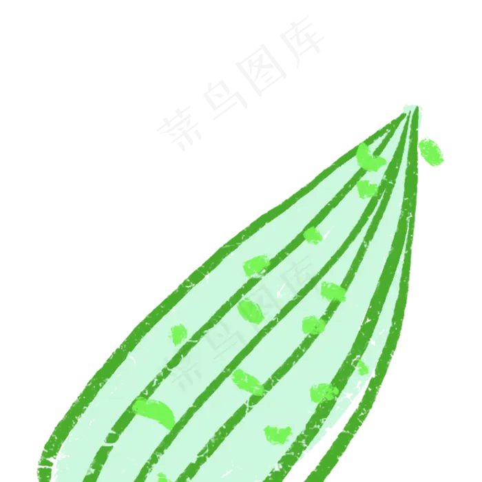 卡通植物叶子下载(2000X2000(DPI:300))psd模版下载
