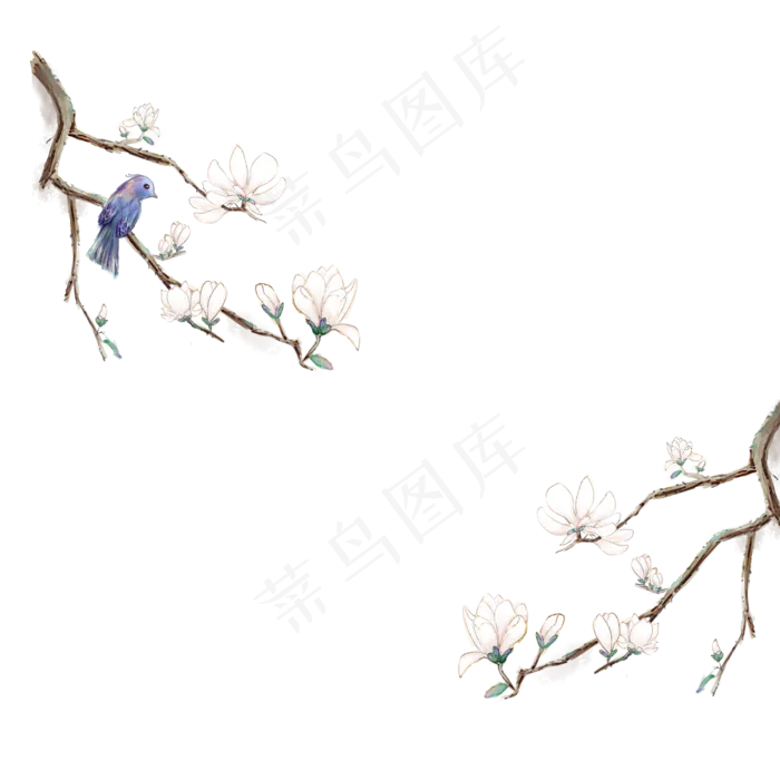 白玉兰中国风花鸟边框,免抠元素