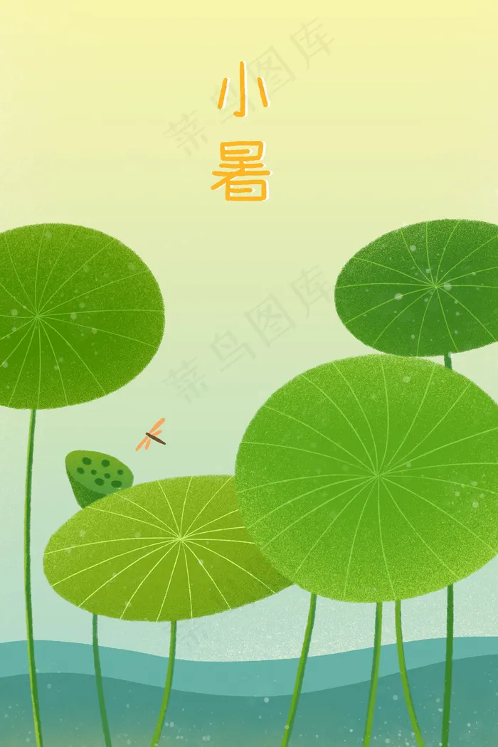 二十四节气小暑荷叶池塘