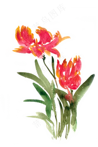 鲜艳的花卉水彩画PNG免抠素材