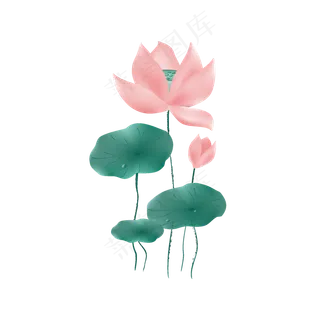 手绘荷花设计元素