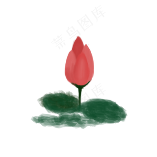 荷花通用词粉色荷尖