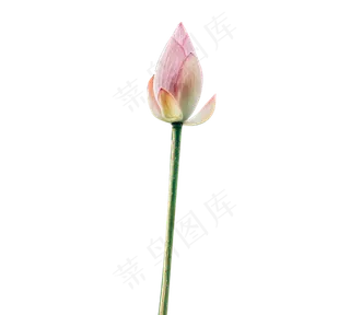 独具一格的荷包