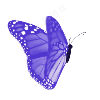 蓝白蝴蝶png图片素材,免抠元素