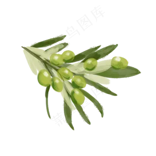 水彩小清新蔬菜水果橄榄果