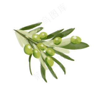 水彩小清新蔬菜水果橄榄果