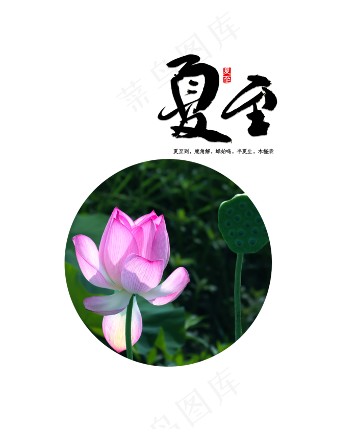 24节气夏至(2500X3000(DPI:300))psd模版下载