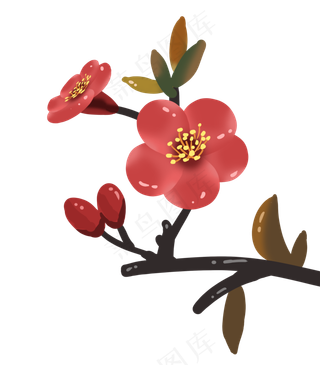 手绘山楂花花卉装饰