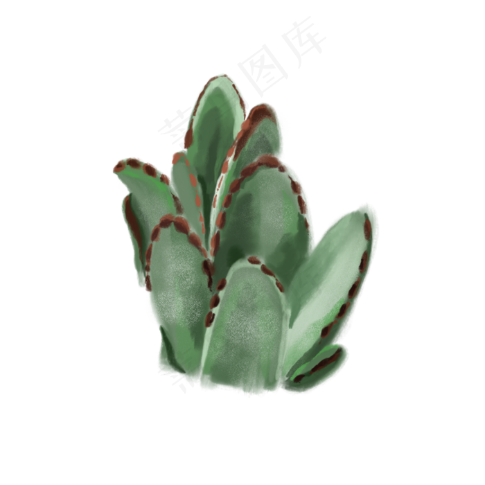一株绿色植物免抠插图(2000X2000(DPI:132))psd模版下载