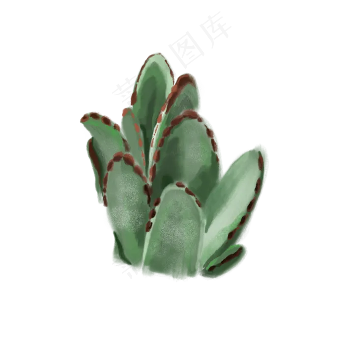 一株绿色植物免抠插图(2000X2000(DPI:132))psd模版下载