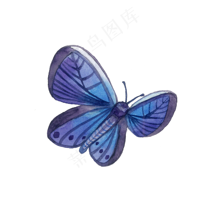 蝴蝶紫蓝渐变昆虫翅膀水彩PNG,免抠元素(2000X2000(DPI:200))psd模版下载