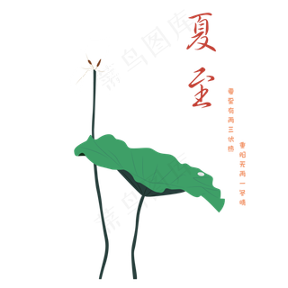 夏至的荷叶免抠图