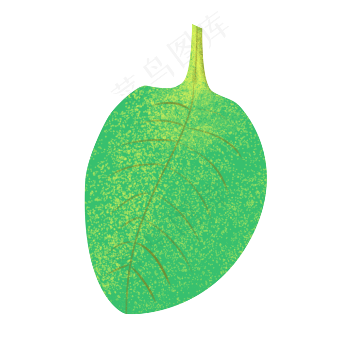 春季嫩绿色树叶可爱