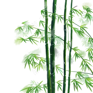 卡通手绘中国风竹子