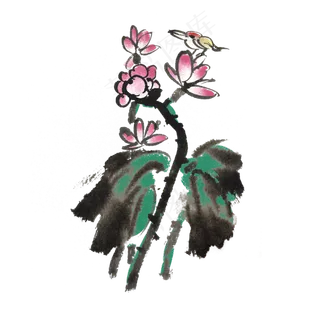 夏天荷花荷叶中国风