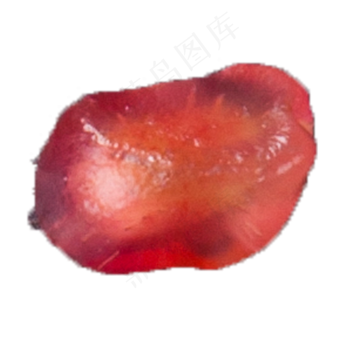 实拍种植石榴果实石榴籽