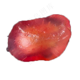 实拍种植石榴果实石榴籽