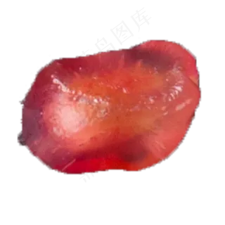 实拍种植石榴果实石榴籽