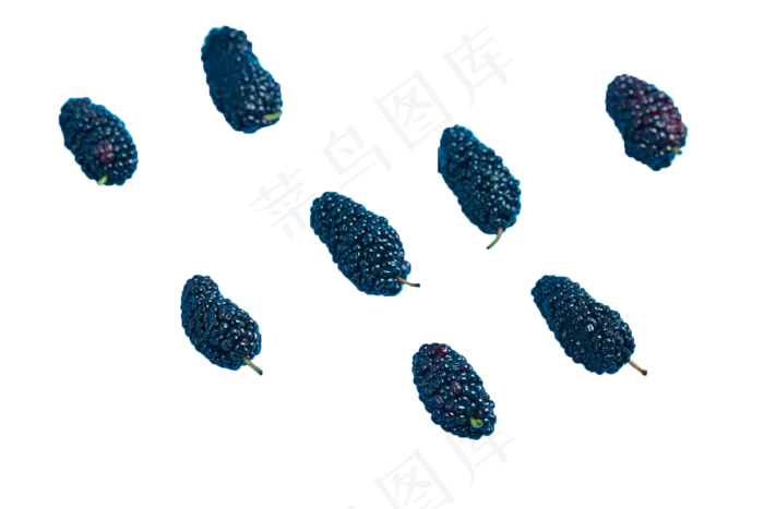 水果桑葚(2000X1333(DPI:300))psd模版下载
