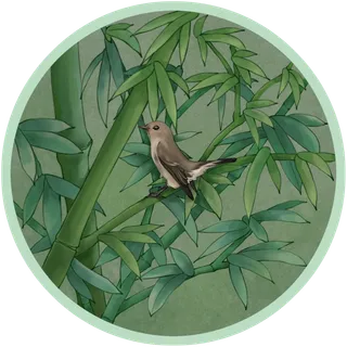 复古国风竹子工笔花鸟,免抠元素