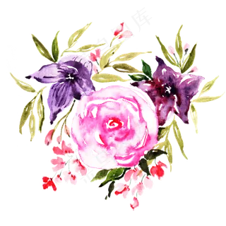 手绘水彩唯美精致花草组合