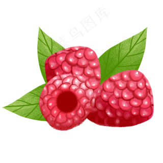 手绘水果png素材