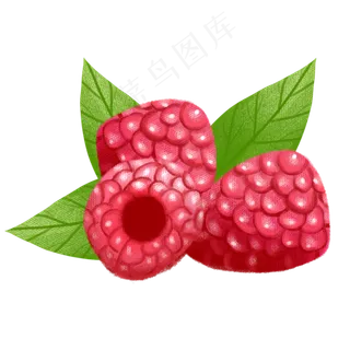 手绘水果png素材