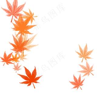 红色梧桐叶,免抠元素